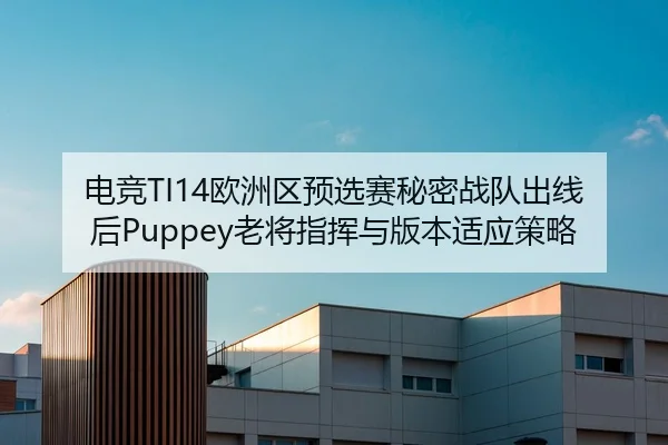 电竞TI14欧洲区预选赛秘密战队出线后Puppey老将指挥与版本适应策略